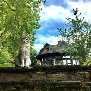 A Rochefort-en-Terre